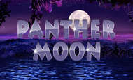 Panther Moon