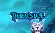 Tigers Ice