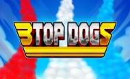 3 Top Dogs